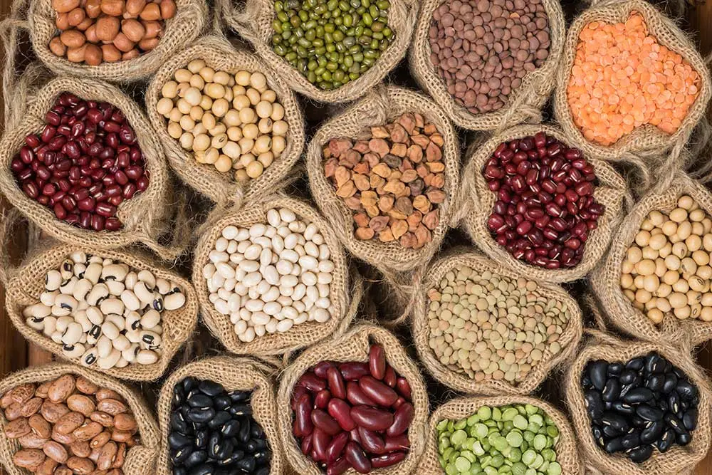 حبوبیات پخته شده در ظرف‌های سفالی