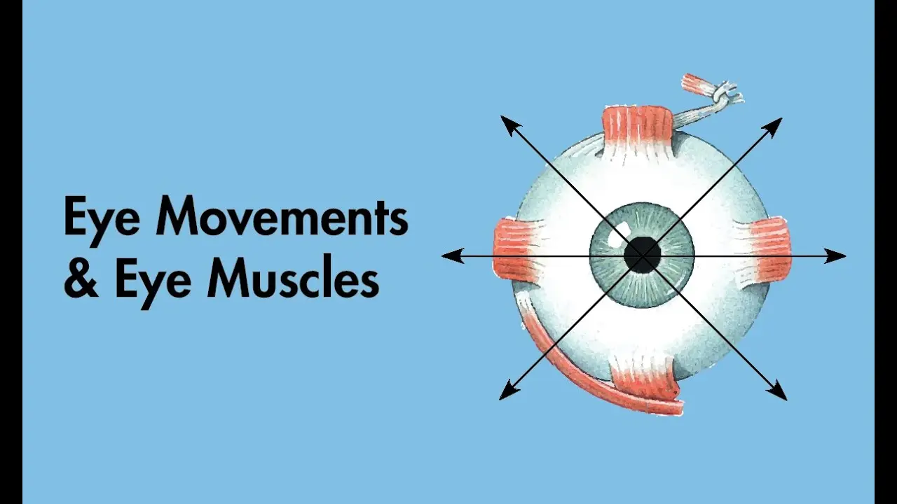 افراد دارای محدودیت حرکتی که از فناوری کنترل با حرکت چشم استفاده می‌کنند