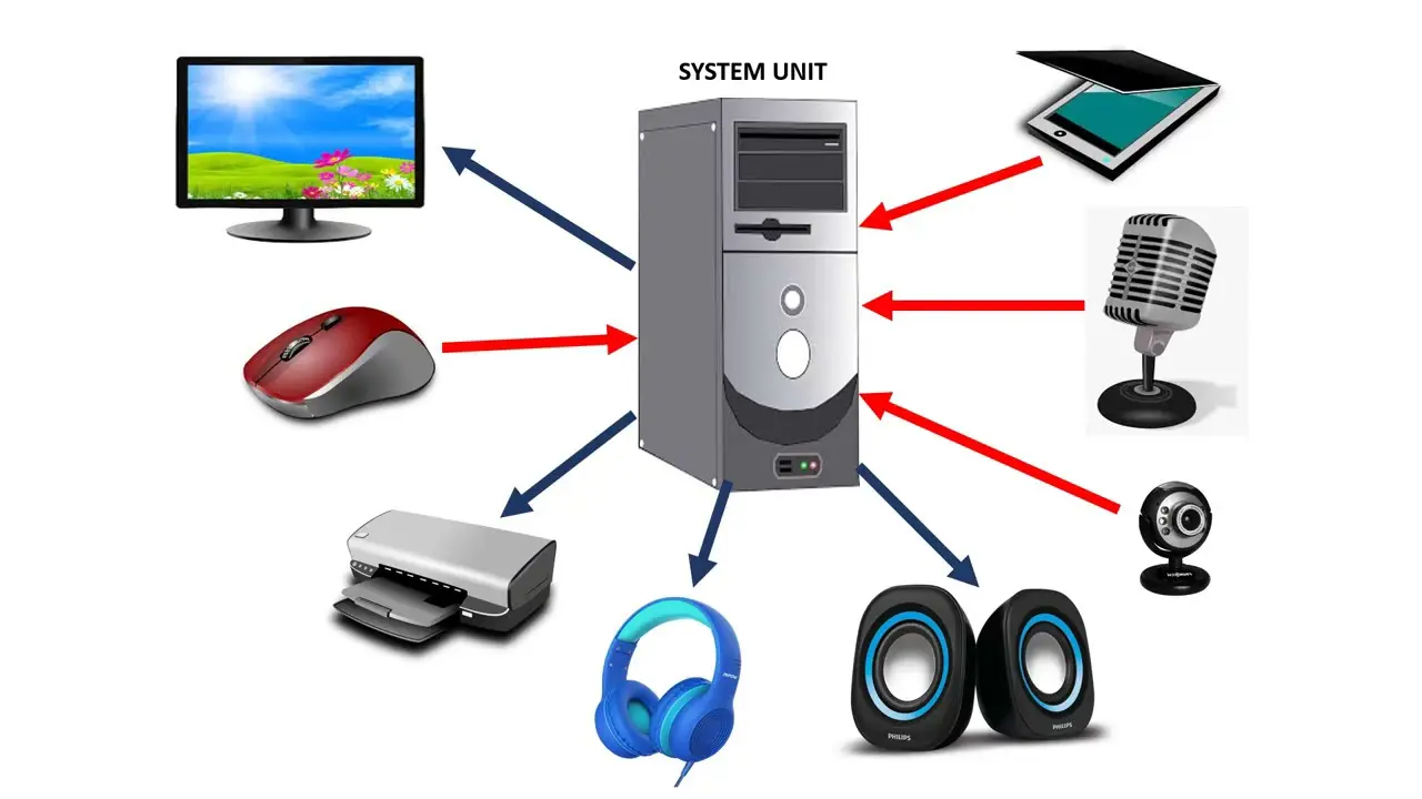 نرم‌افزارهای مختلف مانند سیستم عامل، برنامه‌های کاربردی و ابزارهای توسعه نرم‌افزار