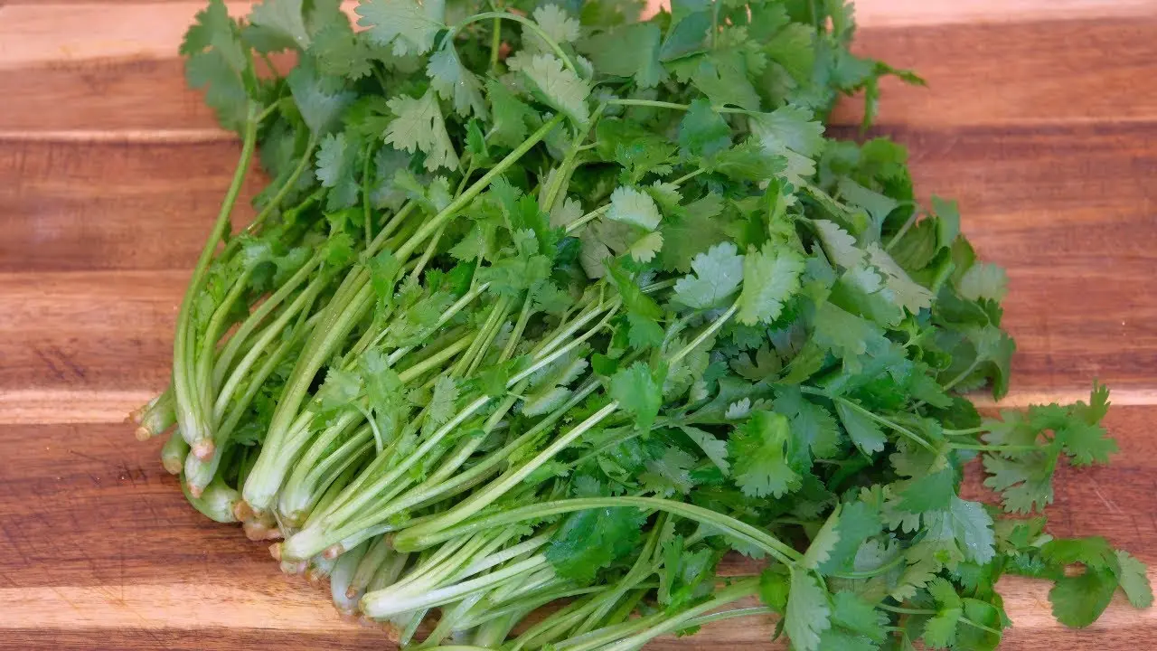 زیره سبز در آشپزی سنتی ایرانی برای تهیه غذاهای خوشمزه