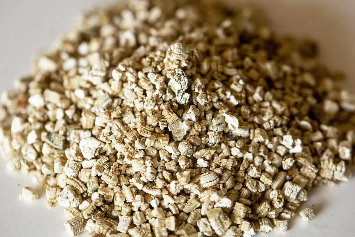 ورمیکولیت چیست و چگونه در عایق‌کاری ساختمان استفاده می‌شود؛ نکات کاربردی و اشتباهات رایج