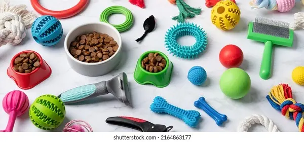 خرید لوازم حیوانات خانگی؛ راهنمای انتخاب وسایل ضروری به زبان ساده