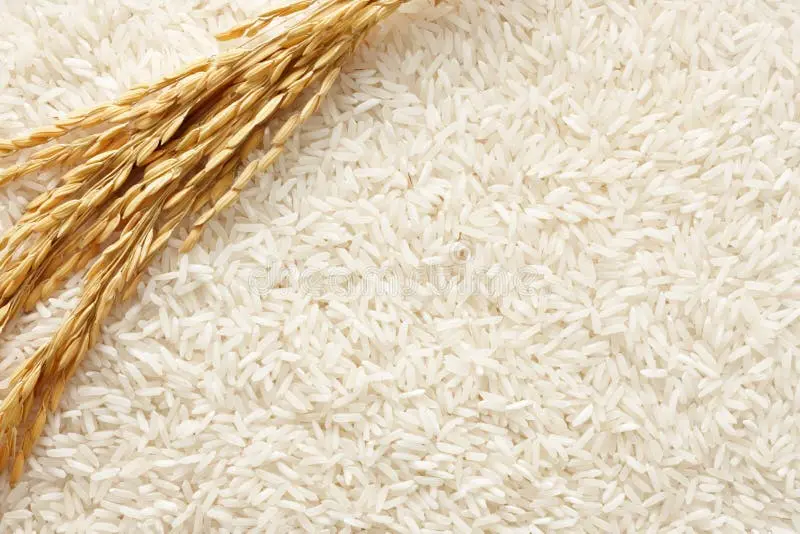 پشت‌زمینه سبز و سفید با دانه‌های برنج پراکنده