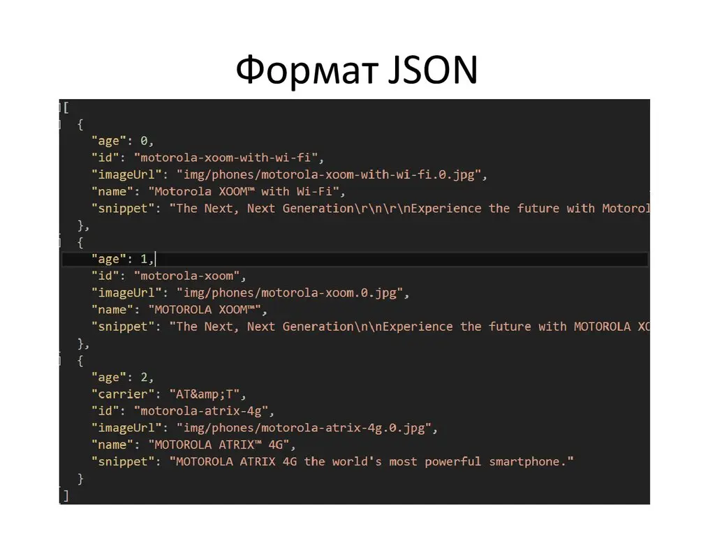 نمونه‌ای از ساختار JSON با کلیدها و مقادیر مختلف
