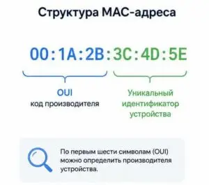MAC Address چیست و چه کاربردی در شبکه دارد؛ قبل از اقدام این موارد را بدانید