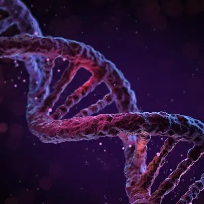 نمونه‌ای از ساختار مولکولی DNA که نشان‌دهنده رشته‌های ژنتیکی است
