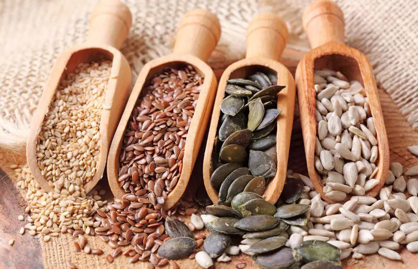 خرید بذر سبزیجات؛ راهنمای انتخاب بذر مناسب باغچه و گلخانه به زبان ساده