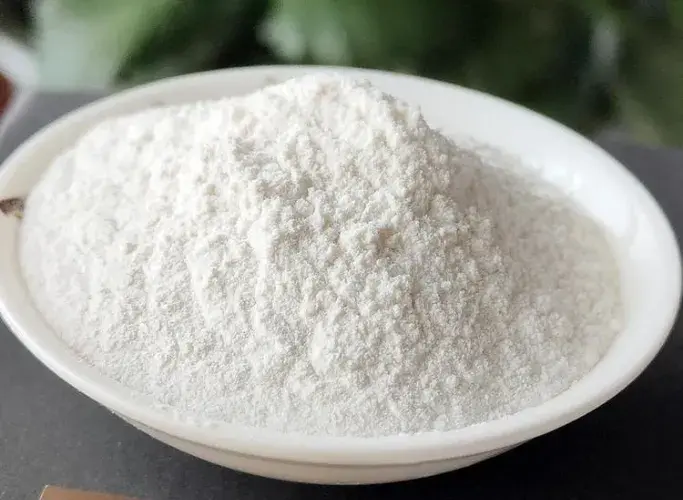 راهنمای انتخاب خاکشیر؛ نکات مهمی که باید بدانید