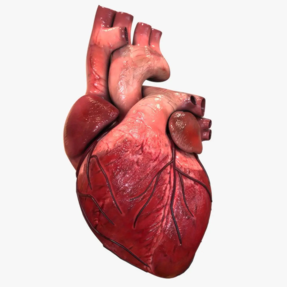 مرحله اصلاح و بهبود خطوط قلب با مداد و پاک‌کن