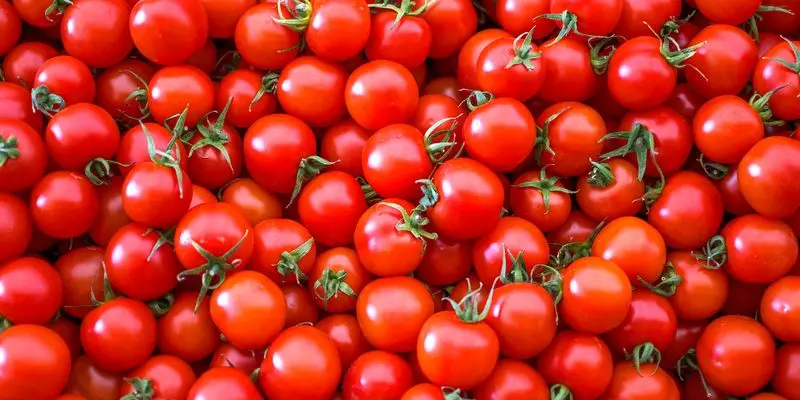 گوجه فرنگی‌های مختلف در یک بازار محلی