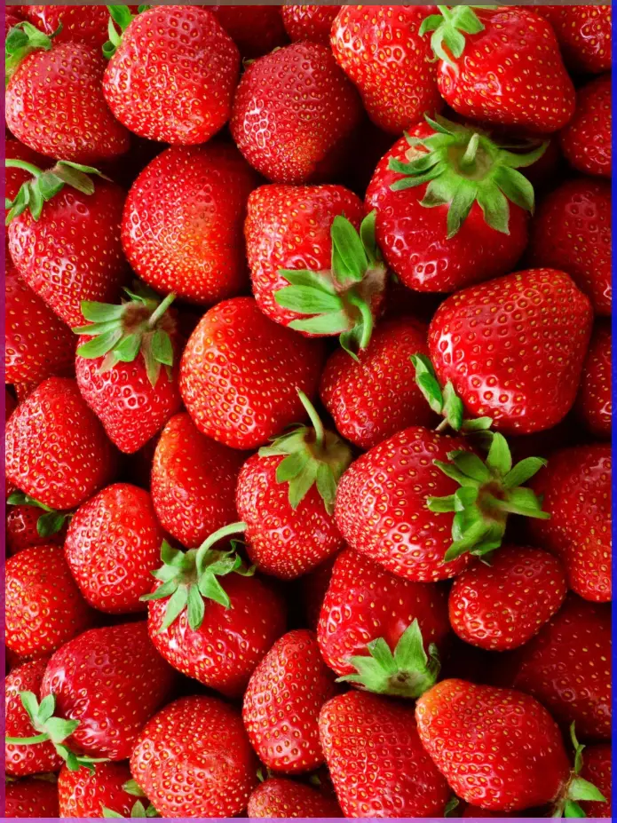 گلخانه مدرن با سیستم کنترل دما و نور برای کشت توت‌فرنگی