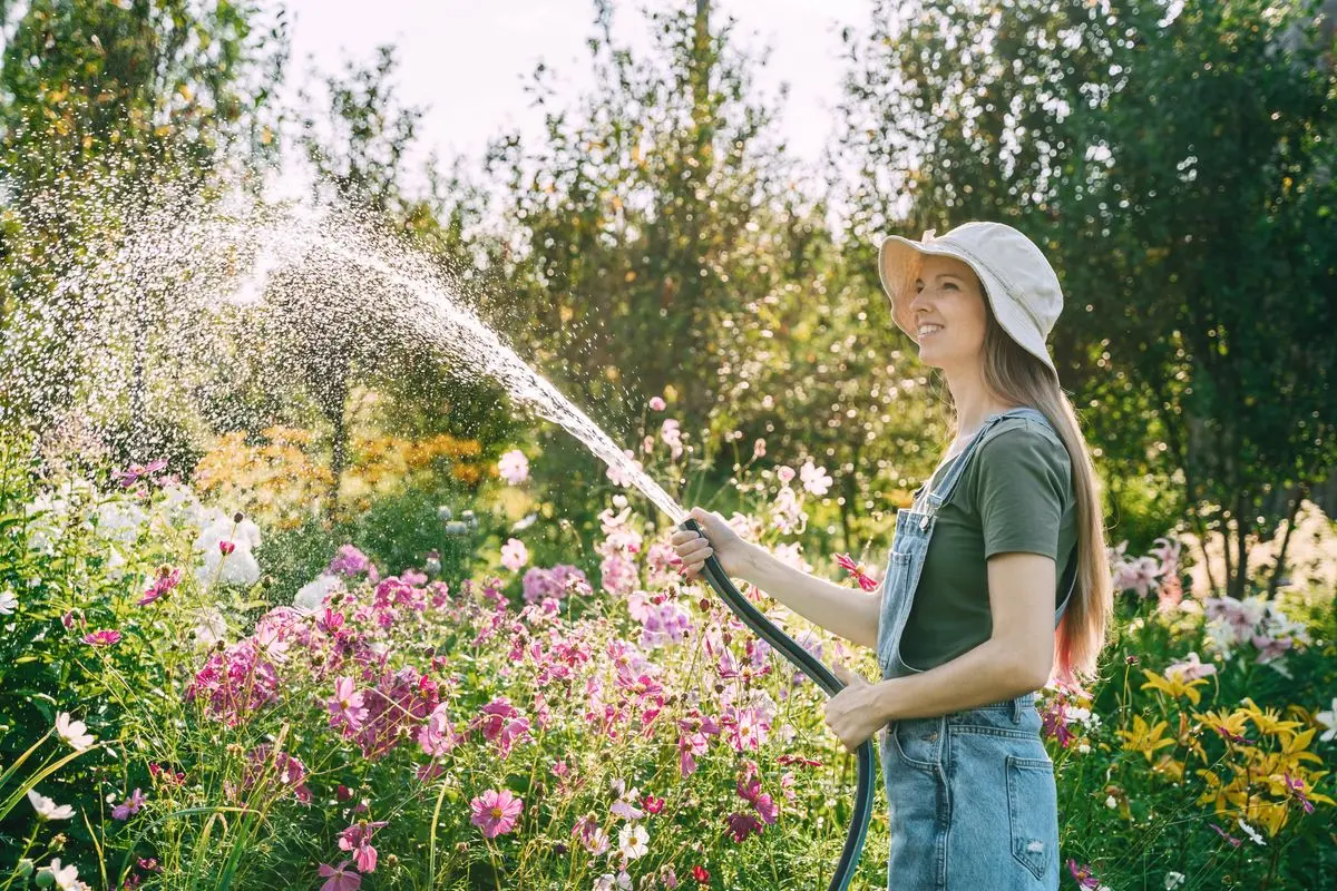 آبیاری گیاهان در ساعات مناسب برای جلوگیری از تبخیر