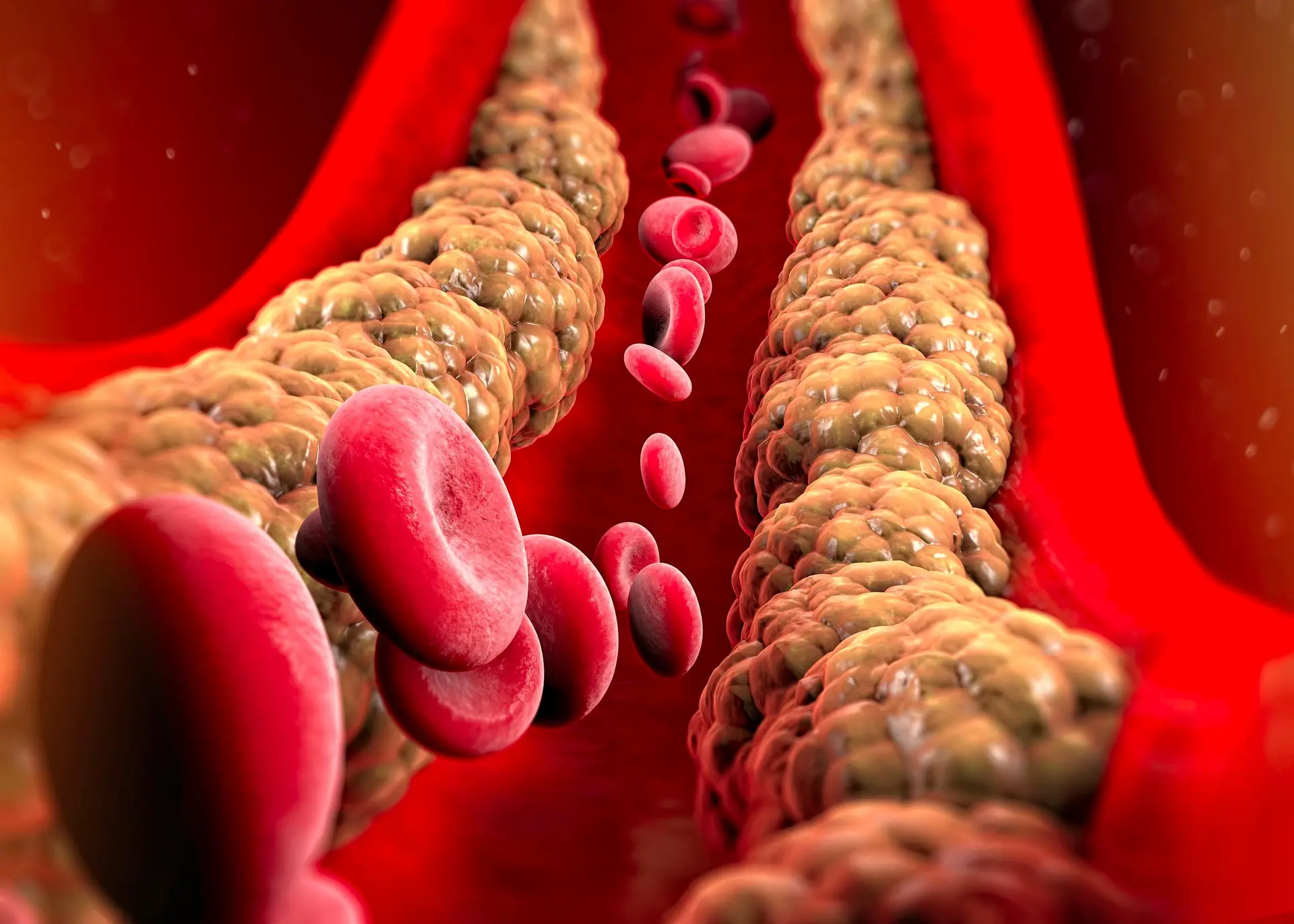 نمودار مقایسه‌ای کلسترول LDL و HDL و نقش آن‌ها در بدن
