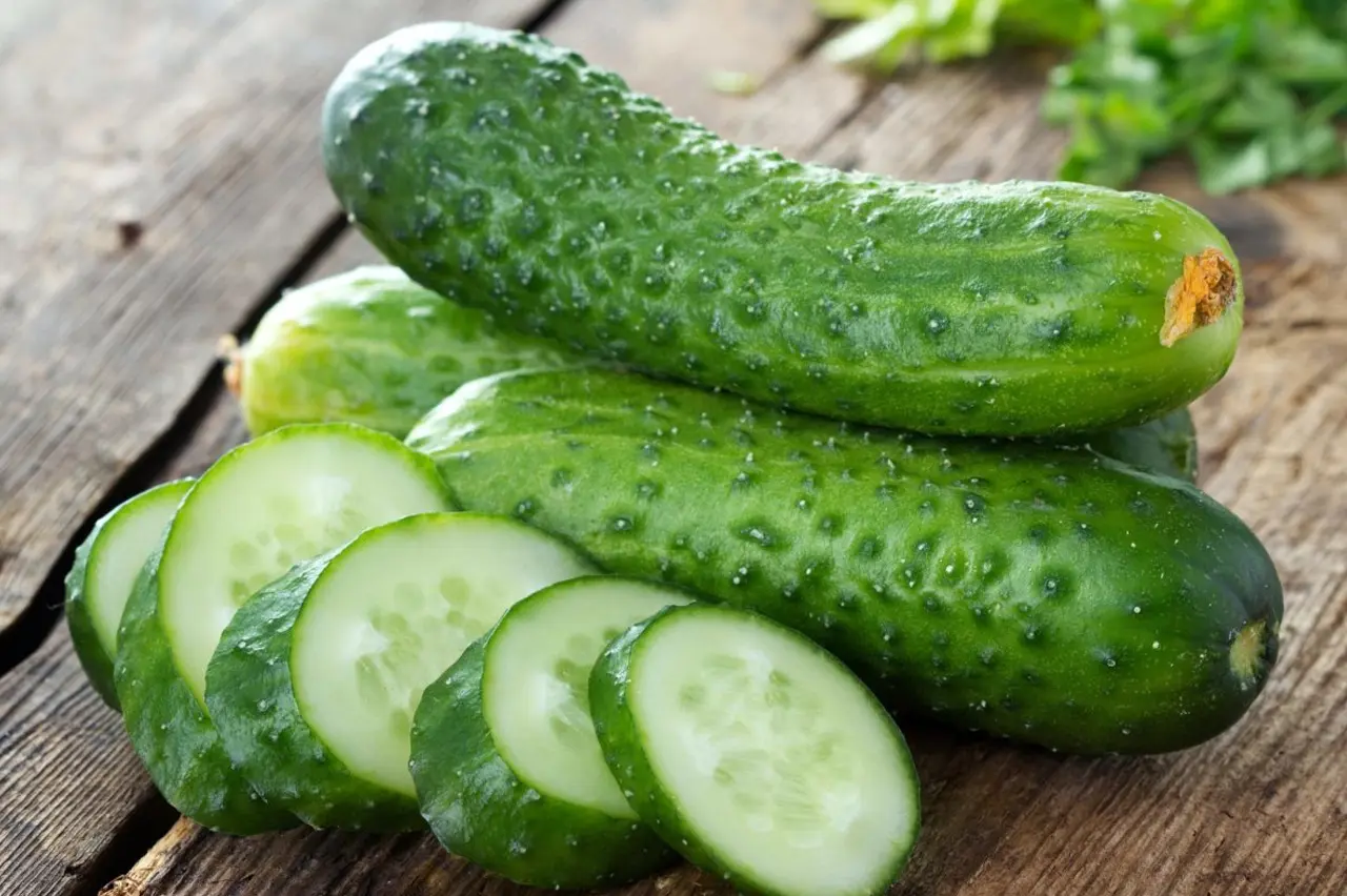 خاک مناسب برای کاشت خیار با زهکشی خوب و مواد آلی