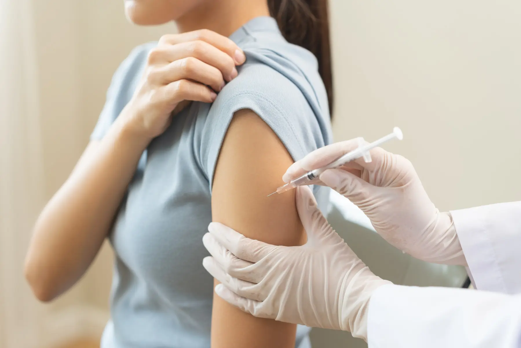 سلول‌های ایمنی بدن که در حال تولید آنتی‌بادی برای مقابله با میکروب هستند