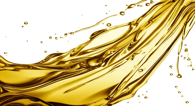 بسته‌بندی‌های مختلف روغن خوراکی در یک فروشگاه مواد غذایی