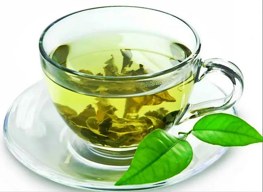 چای سبز چه ترکیباتی دارد؛ نکات مهم و کاربردی