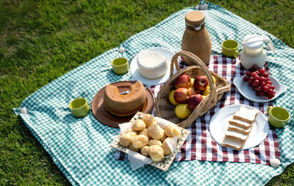 برای رای پیک‌نیک خانوادگی آماده شویم چه کنیم؟ چطور بهترین انتخاب را داشته باشیم؟