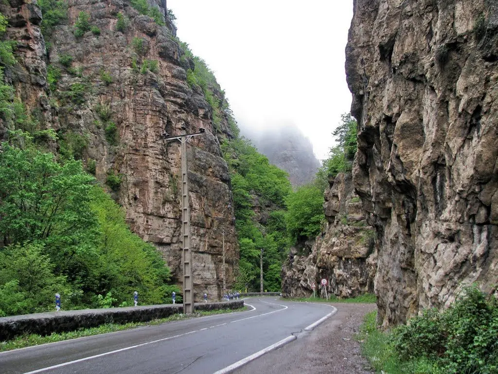 منظره زیبا از درختان گلابی در جاده چالوس