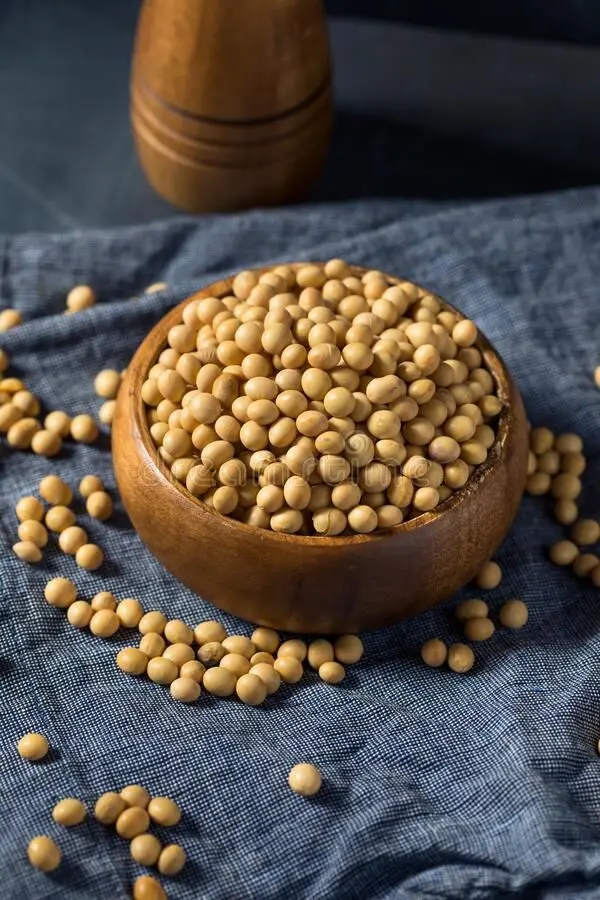 سویا چگونه کاشته می‌شود؛ نکات کاربردی و اشتباهات رایج