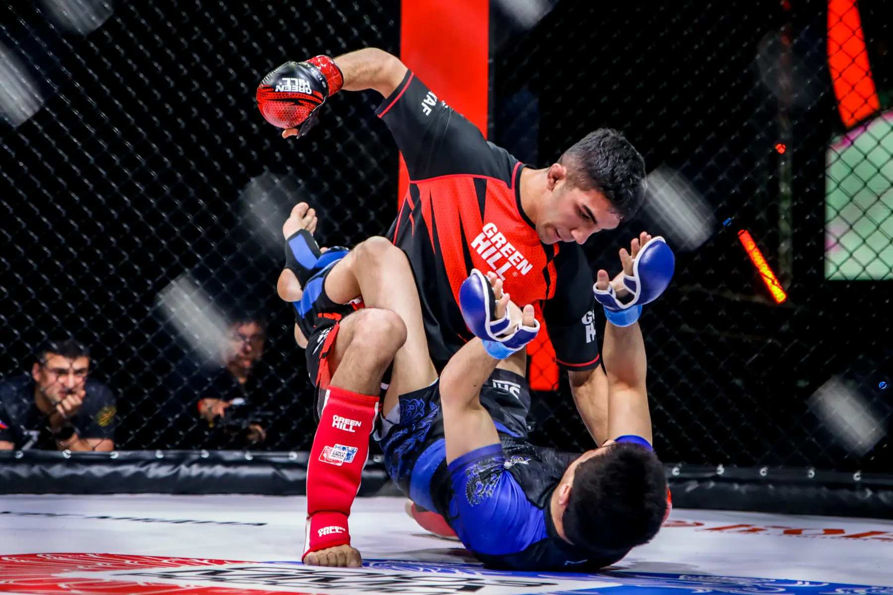 مبارزان MMA در داخل رینگ