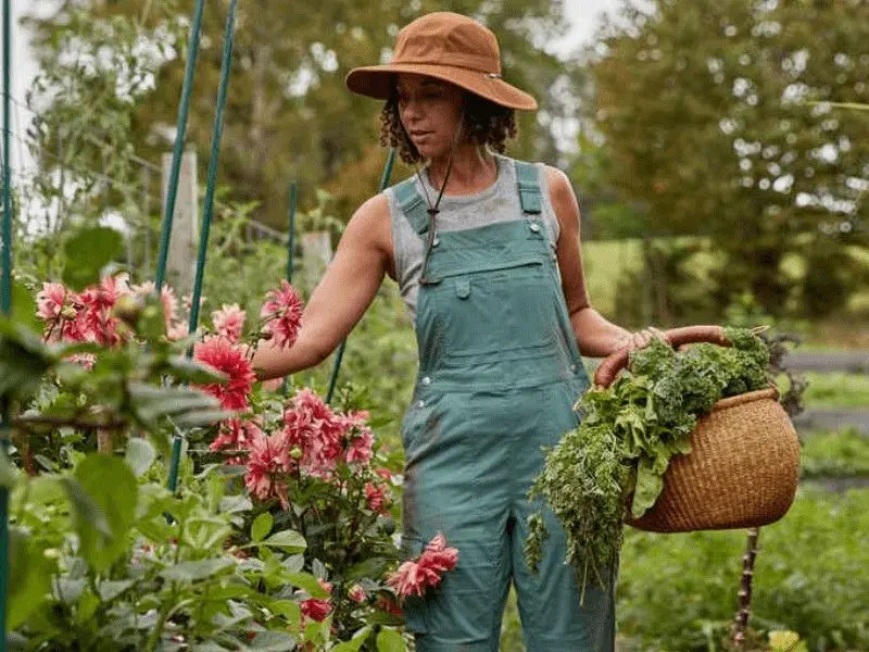 نمونه‌ای از طراحی باغ با گیاهان متنوع و مسیرهای زیبا