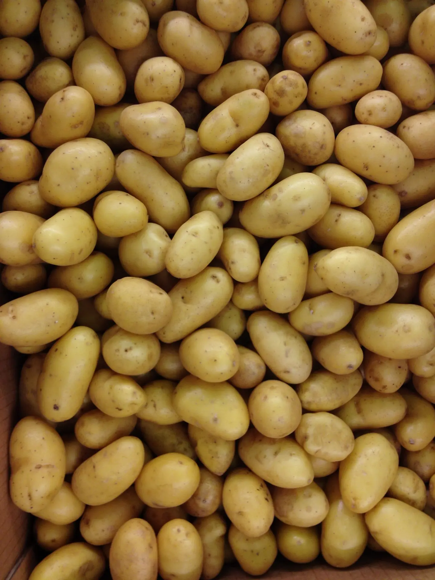 پتانک در غذاهای پخته و سنتی