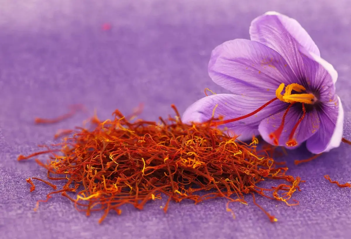 قیمت زعفران چگونه تعیین میشود؛ نکات مهم و کاربردی
