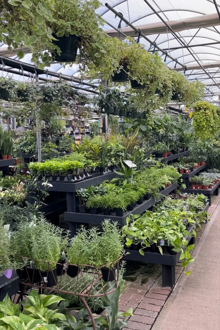گلخانه مدرن با سیستم کنترل دما و رطوبت برای کشت سبزیجات و گیاهان دارویی