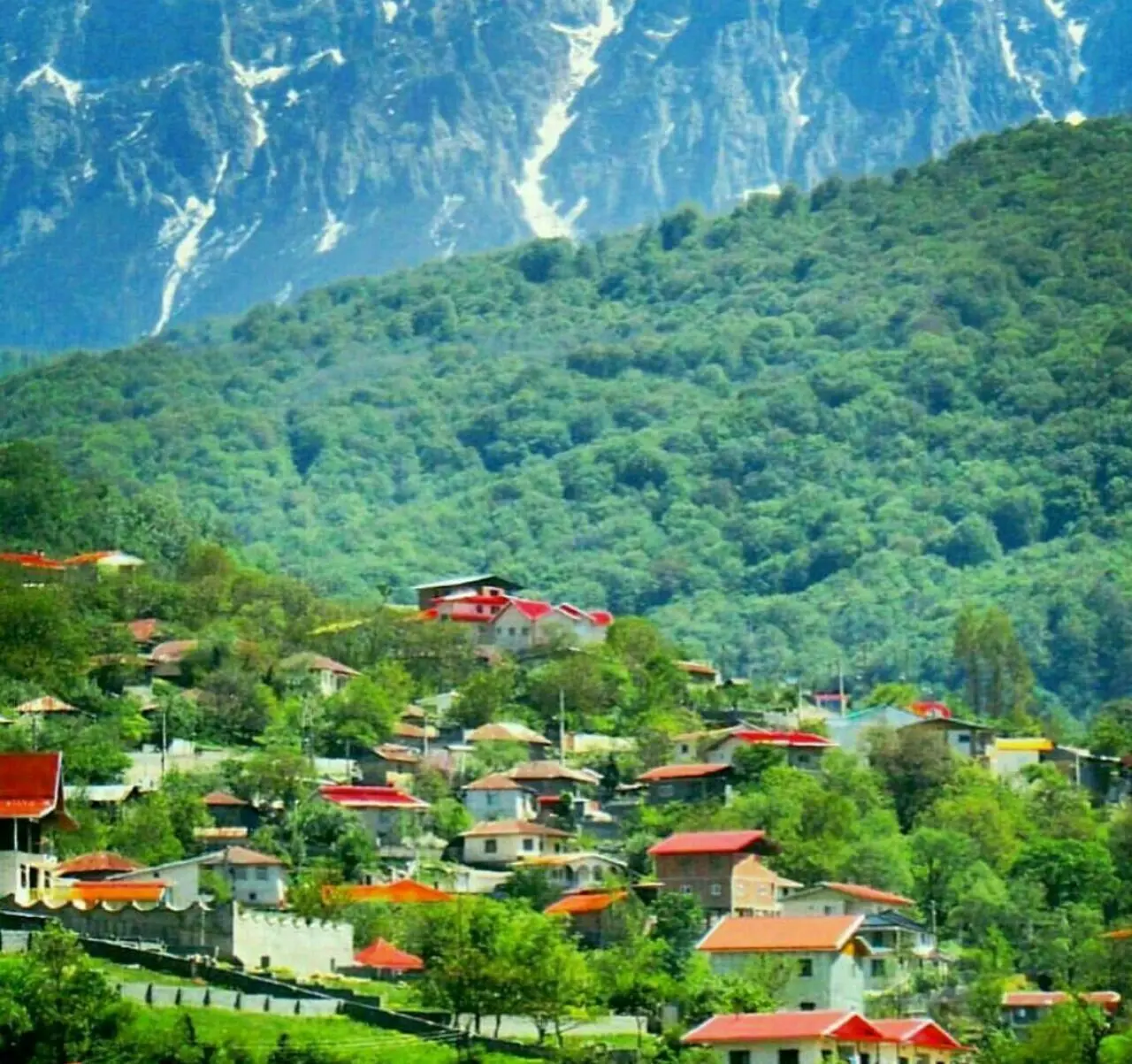 منظره زیبا از جنگل و رودخانه کلاردشت