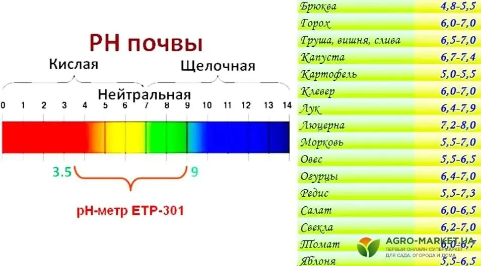 آکواریوم با گیاهان آبزی و ماهی‌های گرمسیری