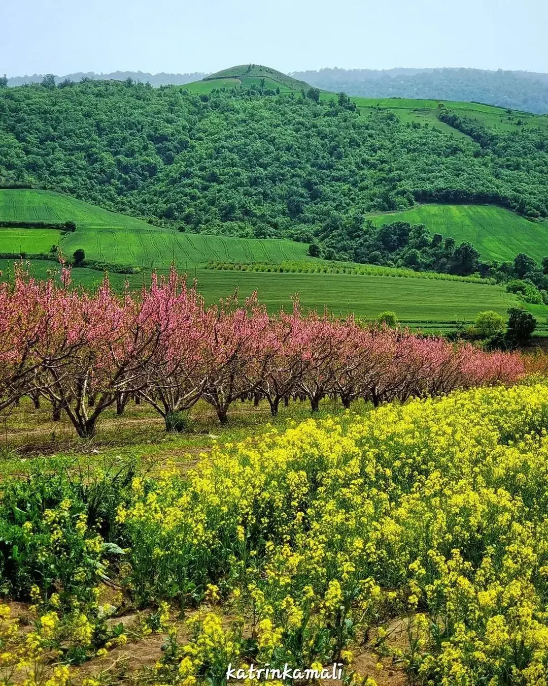منظره آبشار زیبا در دل جنگل‌های کلاردشت