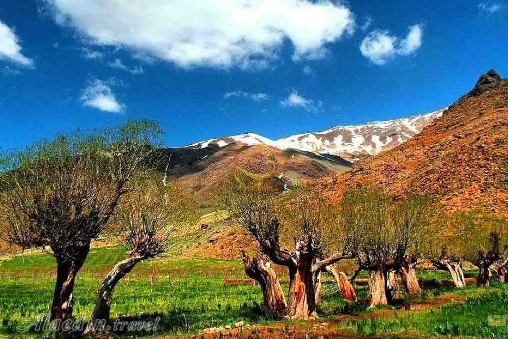 دشت هاوژ در لواسان با طبیعت سبز و مناظر بکر
