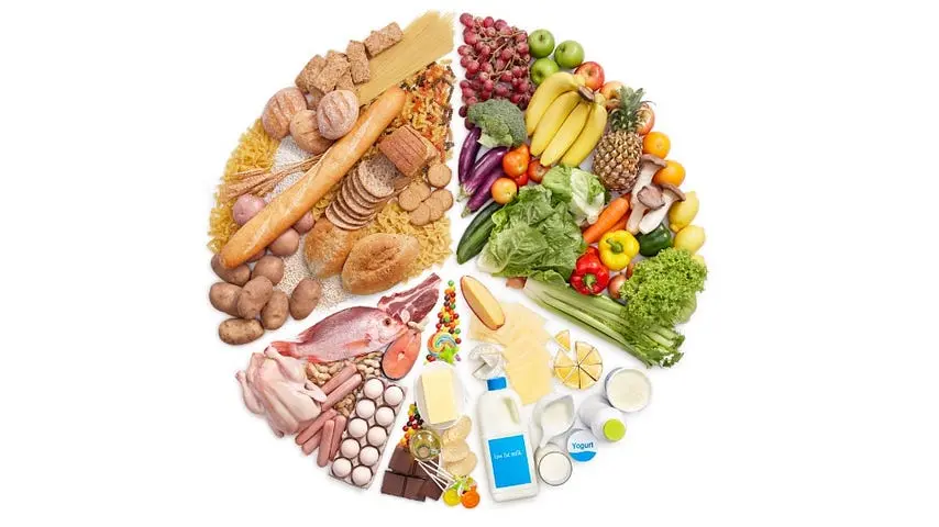 تغذیه قبل از بارداری چه اهمیتی دارد؛ راهنمای ساده برای شروع