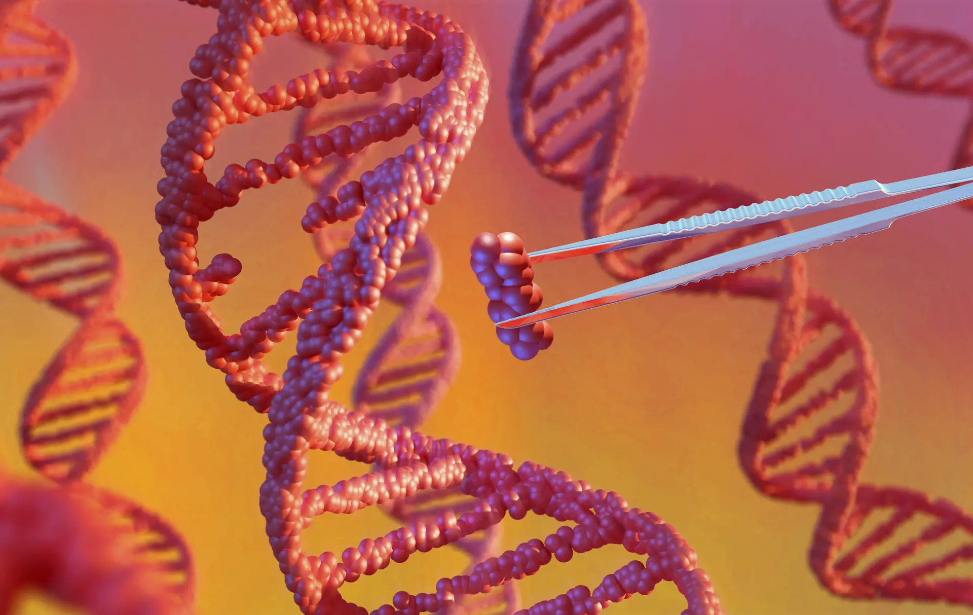 میکروسکوپ الکترونی از ساختار مارپیچ DNA