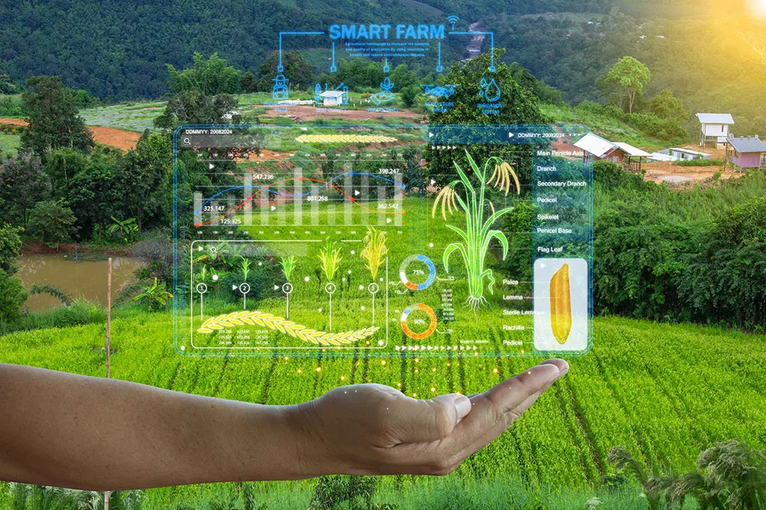 حسگرهای کشاورزی هوشمند در مزرعه برای اندازه‌گیری پارامترهای خاک و گیاه