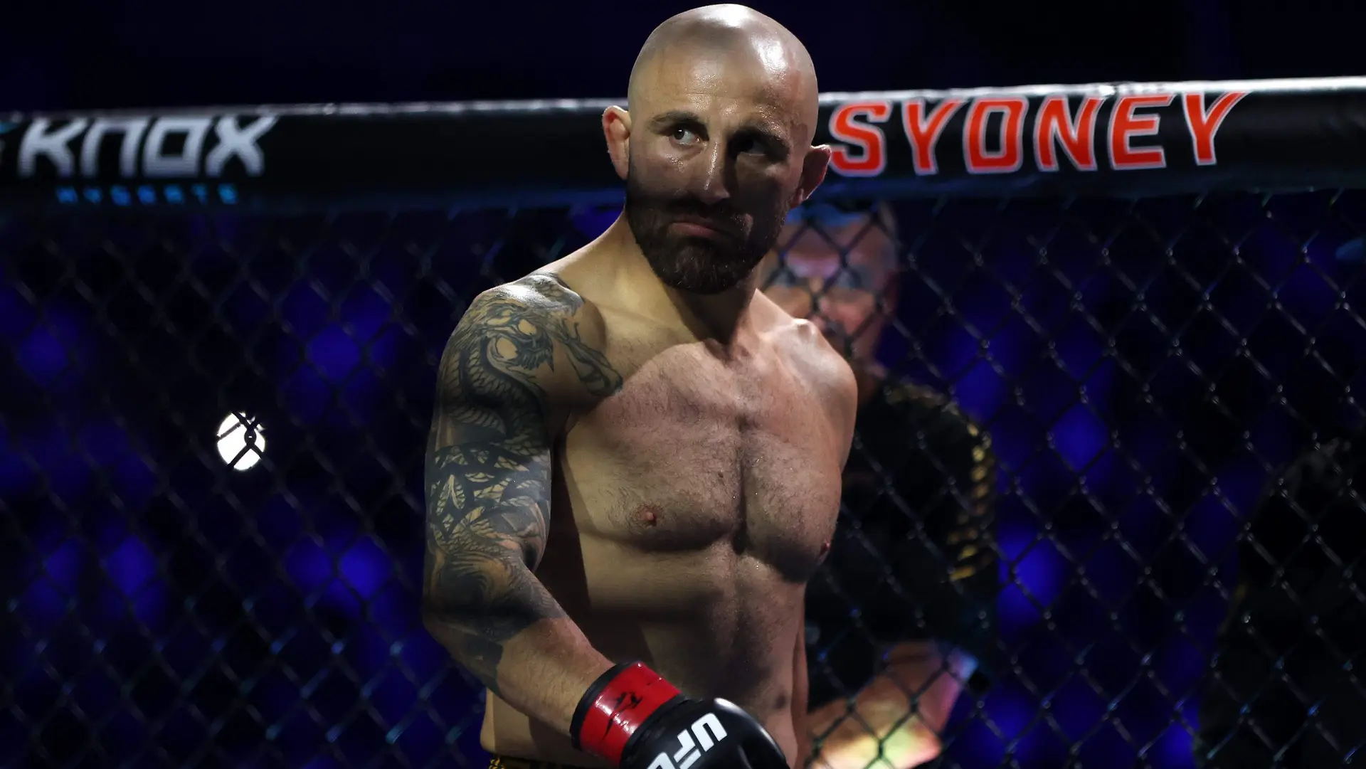 الکساندر ولکانوفسکی در حین یک مبارزه در UFC