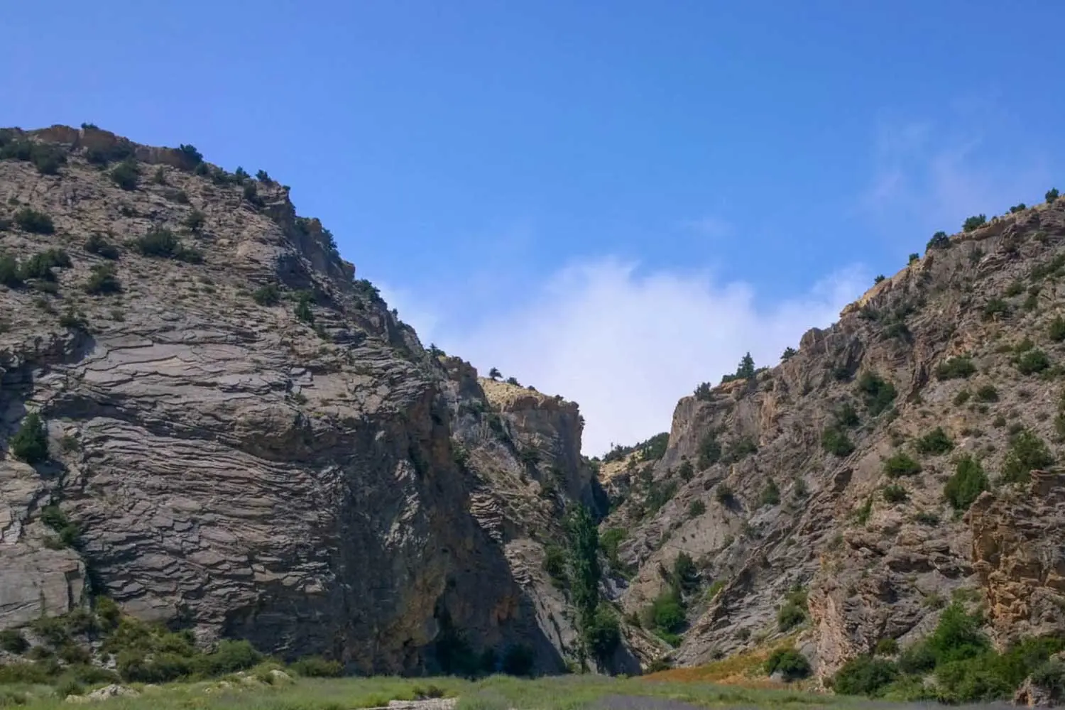 پارک ملی گلستان؛ راهنمای طبیعت‌گردی از نگاه کاربردی