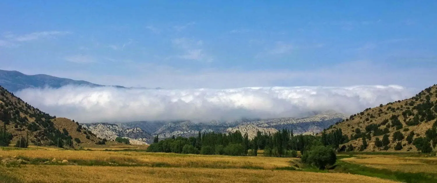 منظره جنگلی پارک ملی گلستان با درختان بلوط و افرا