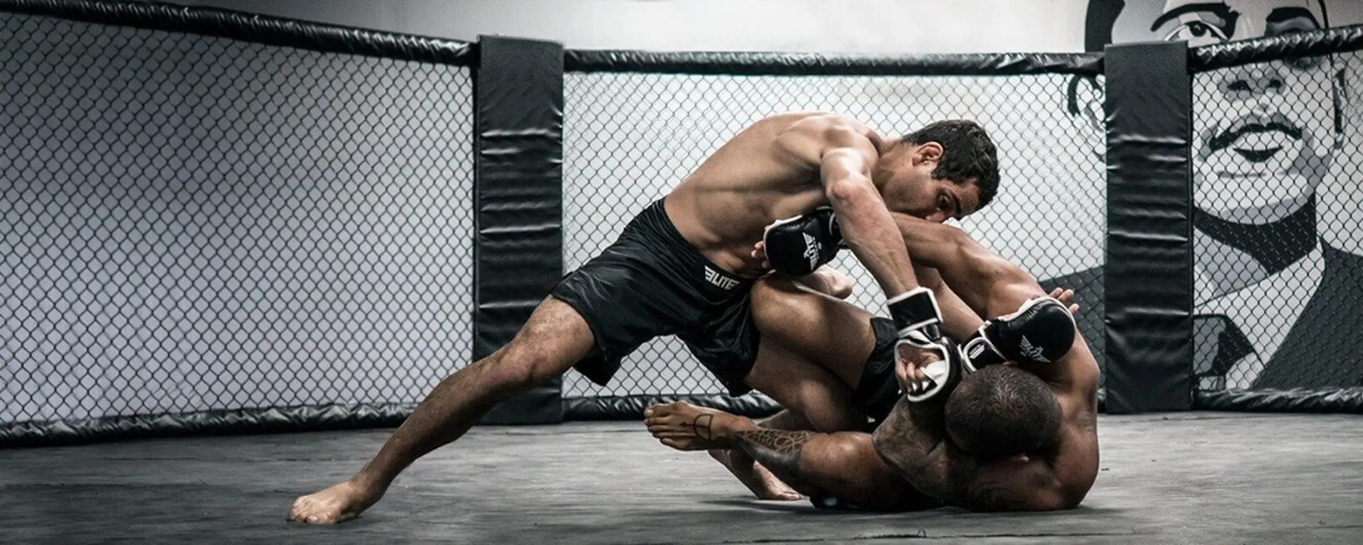 مبارزه UFC در حین راند
