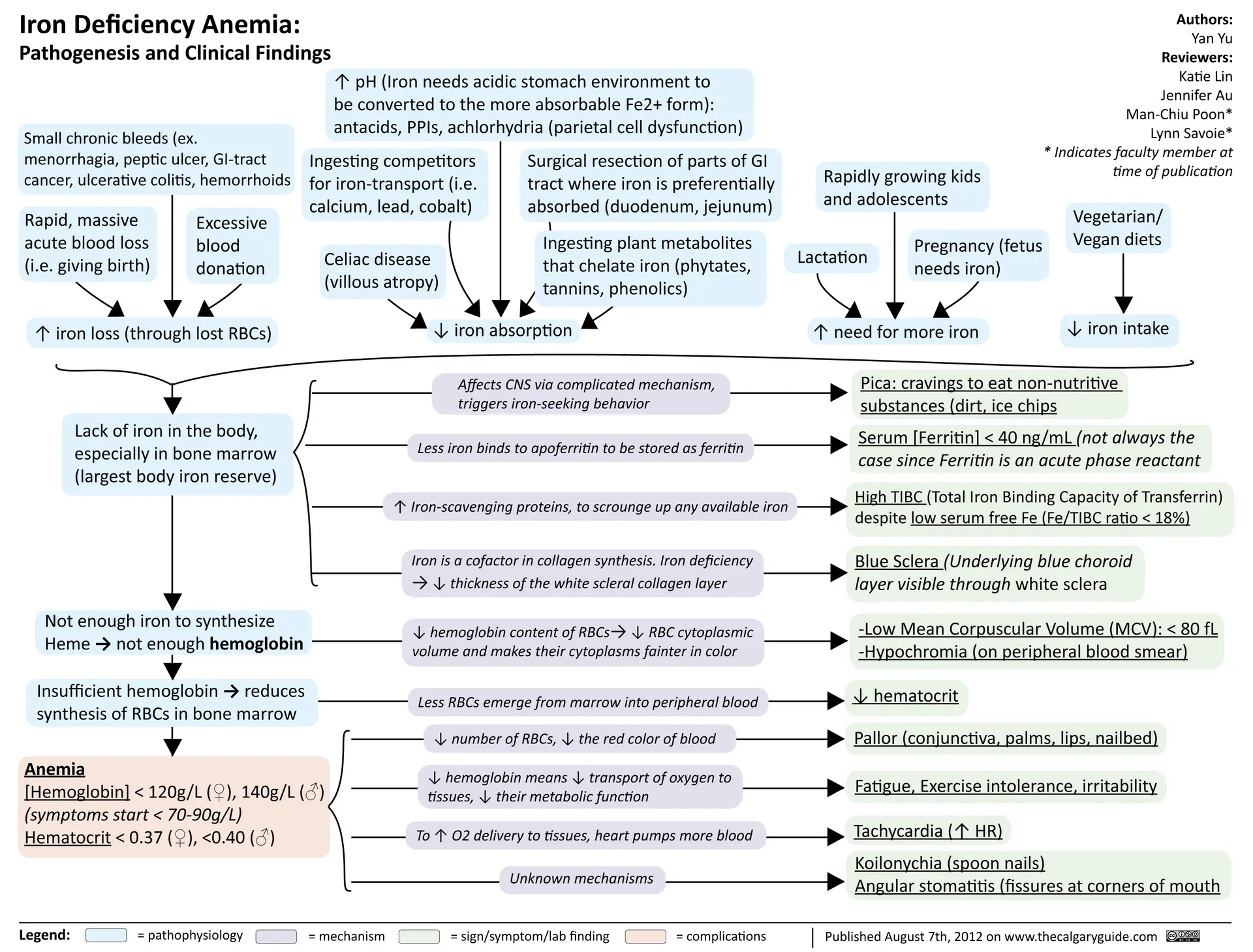 برگهای گیاهی با تغییر رنگ به دلیل کمبود آهن