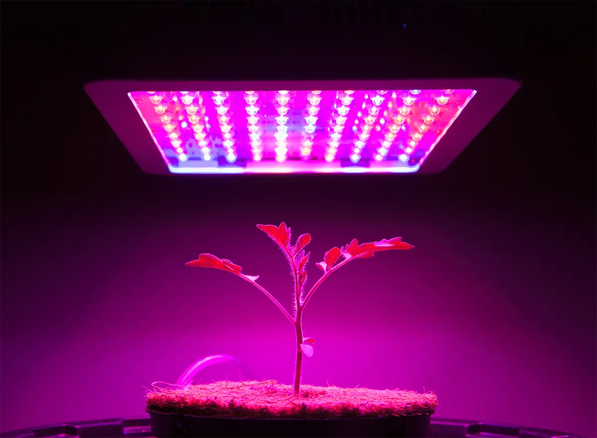لامپ‌های LED رشد گیاه با طراحی مدرن و مصرف انرژی پایین