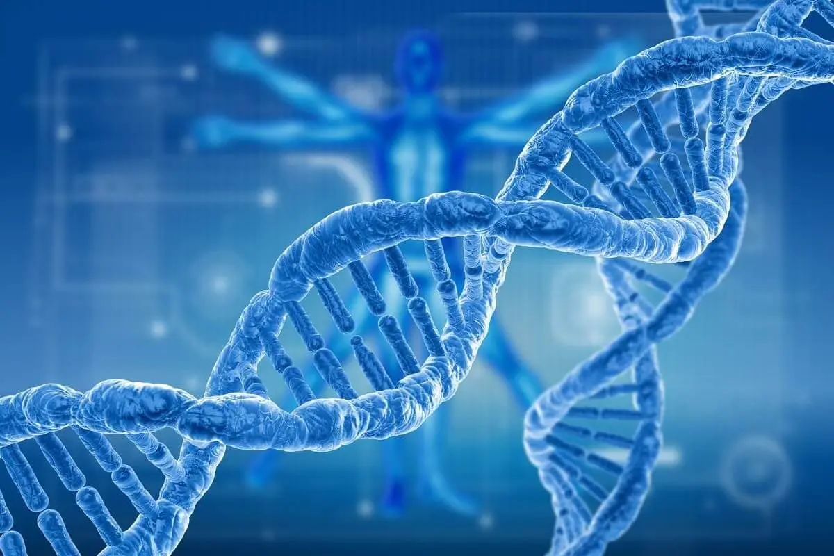 آزمایشگاه ژنتیک و تحلیل نمونه‌های DNA