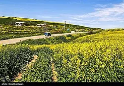 منظره کوهستانی و جنگلی خراسان شمالی با طبیعت بکر و رودخانههای فصلی
