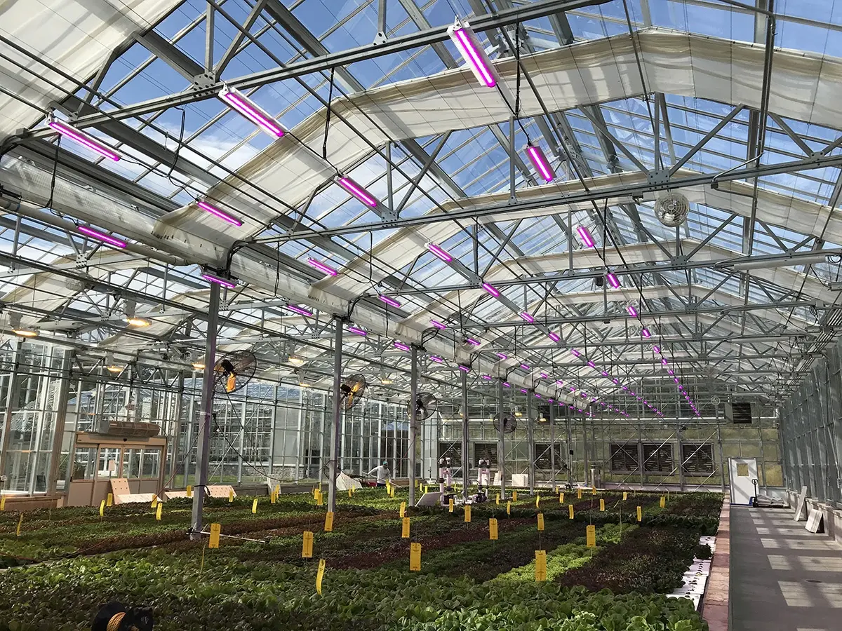 سیستم سرمایش پیشرفته در گلخانه با استفاده از فن‌آوری‌های مدرن