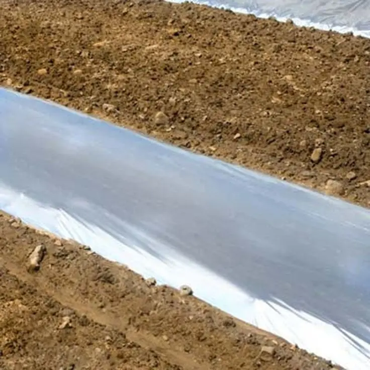 مالچ پلاستیکی در کشت گلخانهای و محافظت از خاک