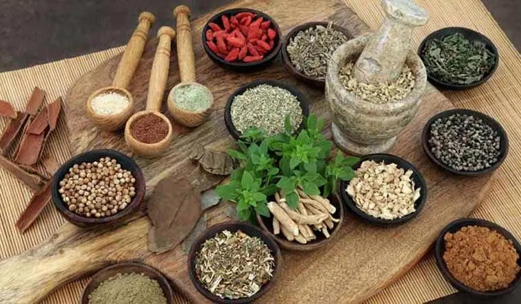 در برخی شرایط مانند بارداری یا بیماریهای مزمن، مصرف داروهای گیاهی نیاز به نظارت دقیق پزشکی دارد