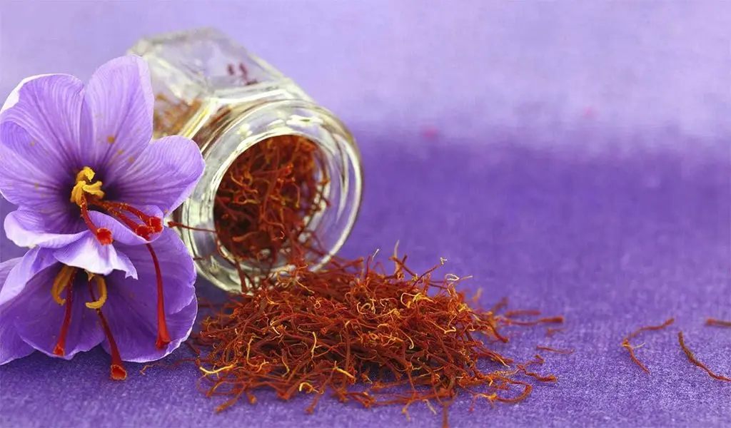 پاکت‌های زعفران بسته‌بندی شده تحت خلأ برای صادرات