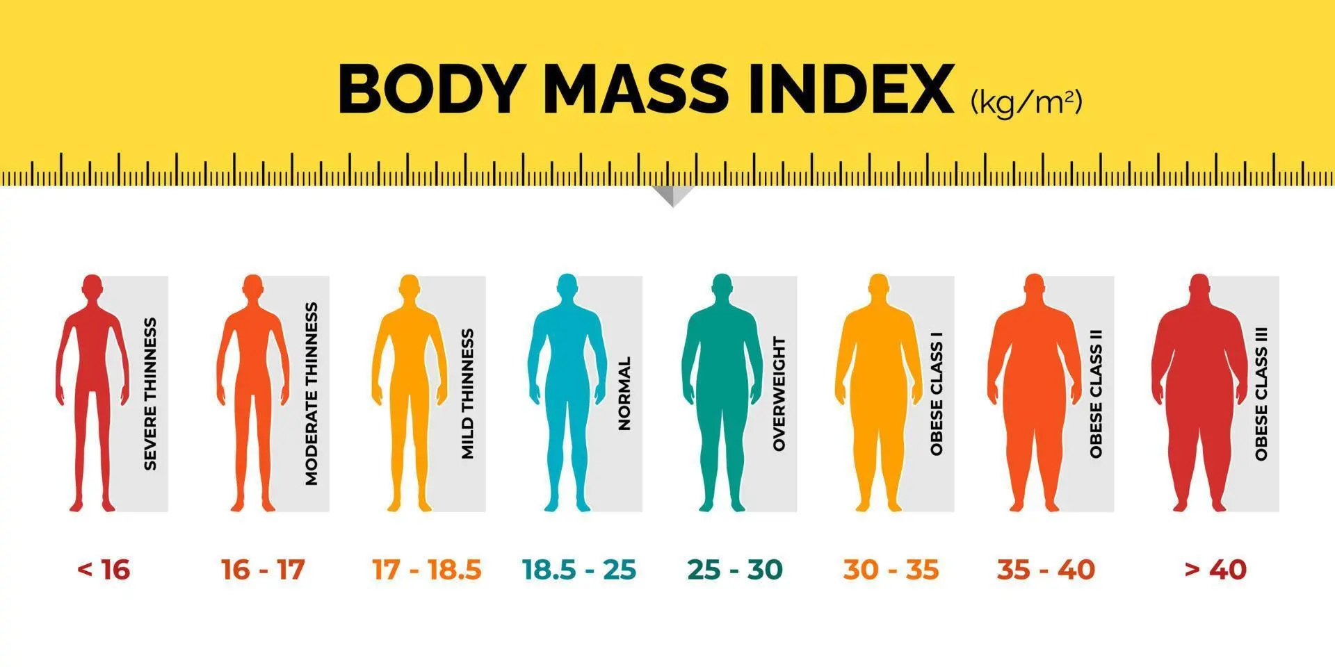 BMI چیست و چگونه محاسبه می‌شود؛ نکات کاربردی و اشتباهات رایج