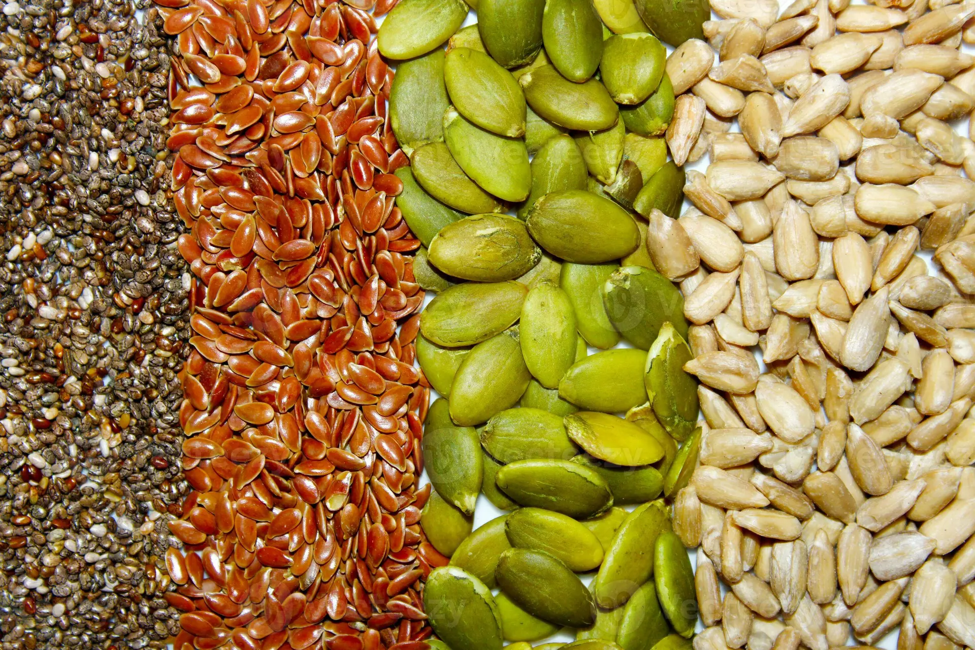 آشنایی با بذر اصلاح‌شده؛ تعریف و کاربردها